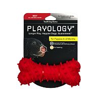 Изображение Playology игр. Дентальная жеват.косточка Puppy Teething Bone для щенков с ароматом говядины красная от магазина Profzoo