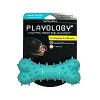Изображение Playology игр. Дентальная жеват.косточка Puppy Teething Bone с ароматом арахиса голубая для щенков от магазина Profzoo