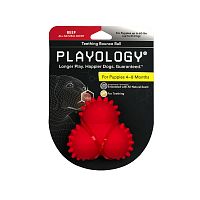 Изображение Playology игр. Дентальный жев.тройной мяч Squeaky Bounce Ball для щенков с ароматом говядины красный от магазина Profzoo