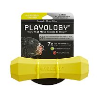 Изображение Playology игр. Жевательная палочка Squeaky Chew Stick с ароматом курицы большая желтая для собак от магазина Profzoo