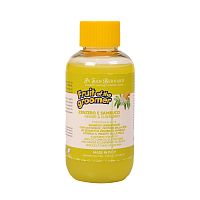 Изображение ISB Fruit of the Groomer Ginger&Elderbery Шампунь против раздражений и перхоти 100мл от магазина Profzoo
