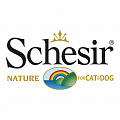 Schesir