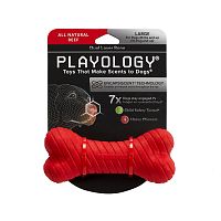 Изображение Playology игр. Двухслойная жев.косточка Dual Layer Bone с ароматом говядины большая красн. для собак от магазина Profzoo