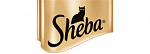 Sheba